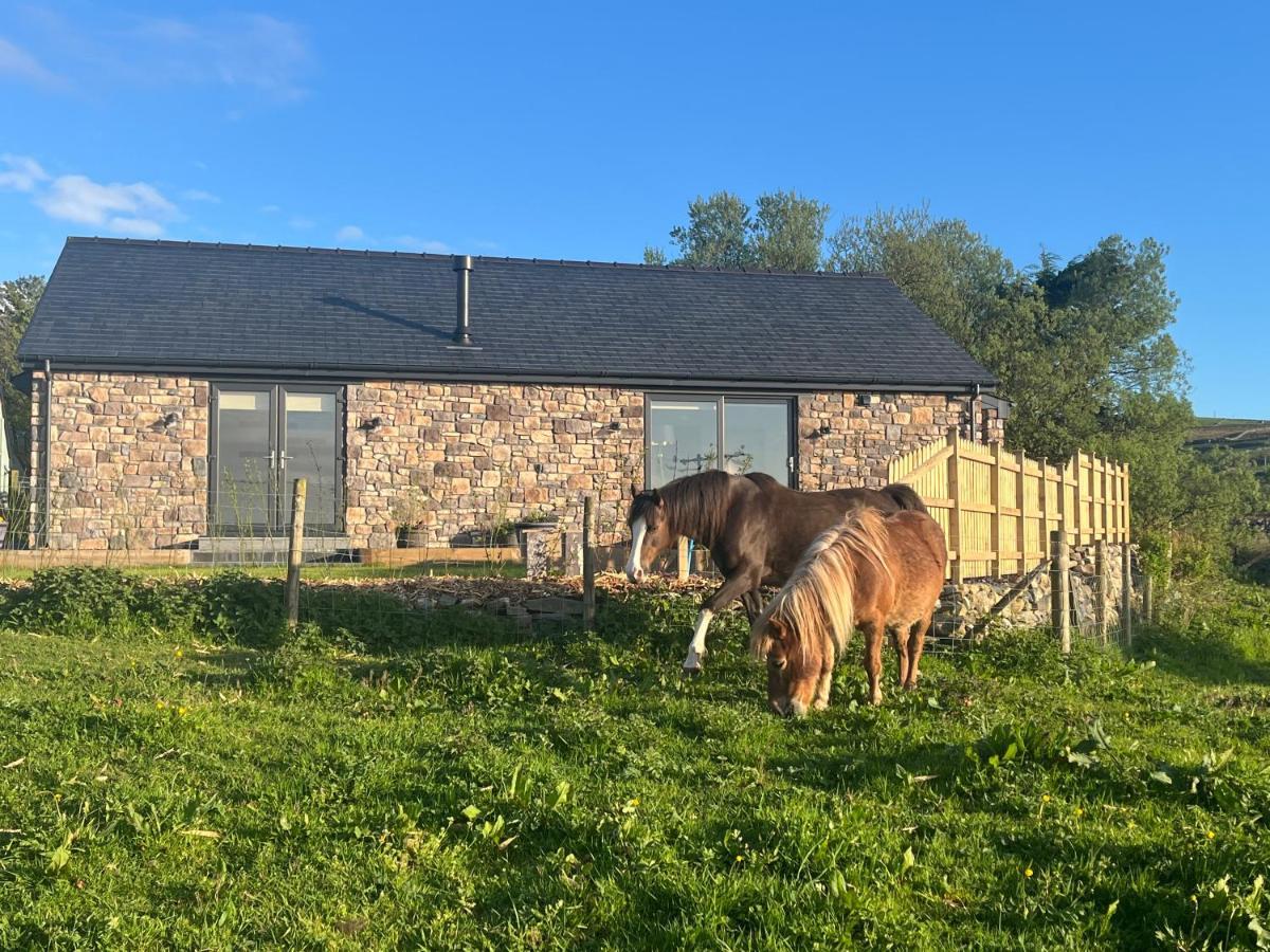 Llanllyfni Hedd Wenヴィラ エクステリア 写真