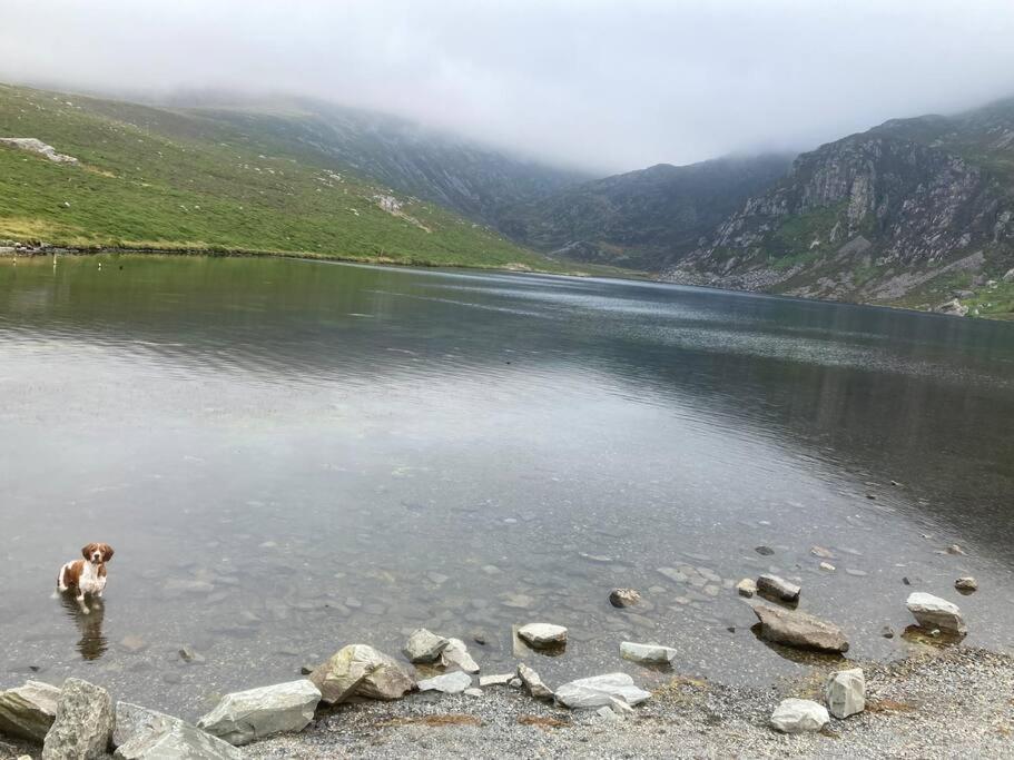 Llanllyfni Hedd Wenヴィラ エクステリア 写真